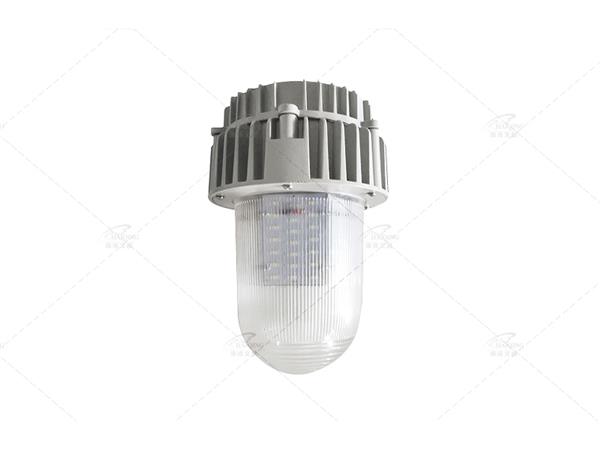 三防燈RDS-SF01